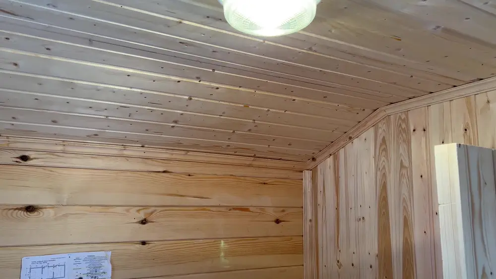 Арочный потолок из хвойной вагонки в мобильной бане с односкатной крышей