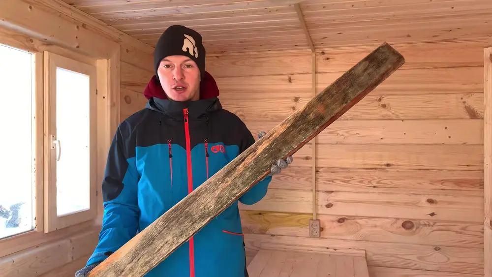 Доска из бруса, полностью поражённая синевой, до обработки Сагусом